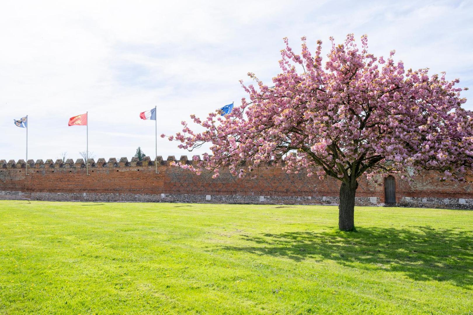 Chateau De Tilly Boissey-le-Chatel Екстер'єр фото